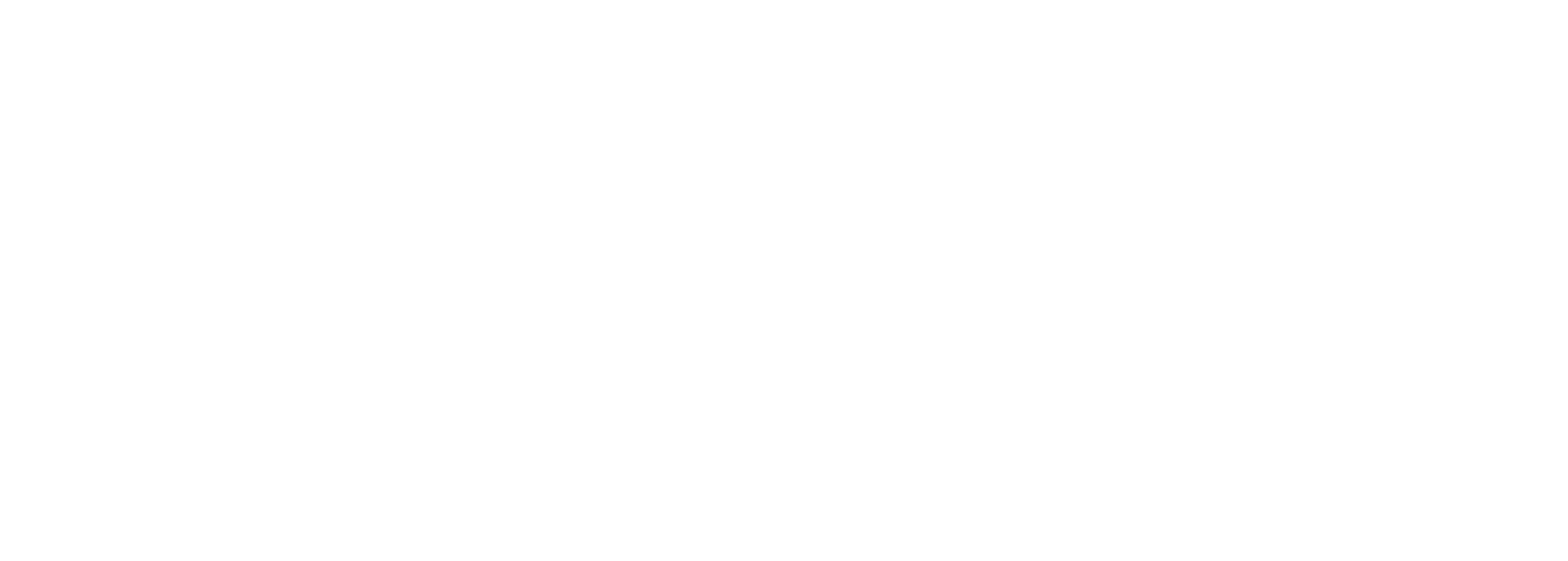 SSPRO Sistemas de Seguridad Profesionales