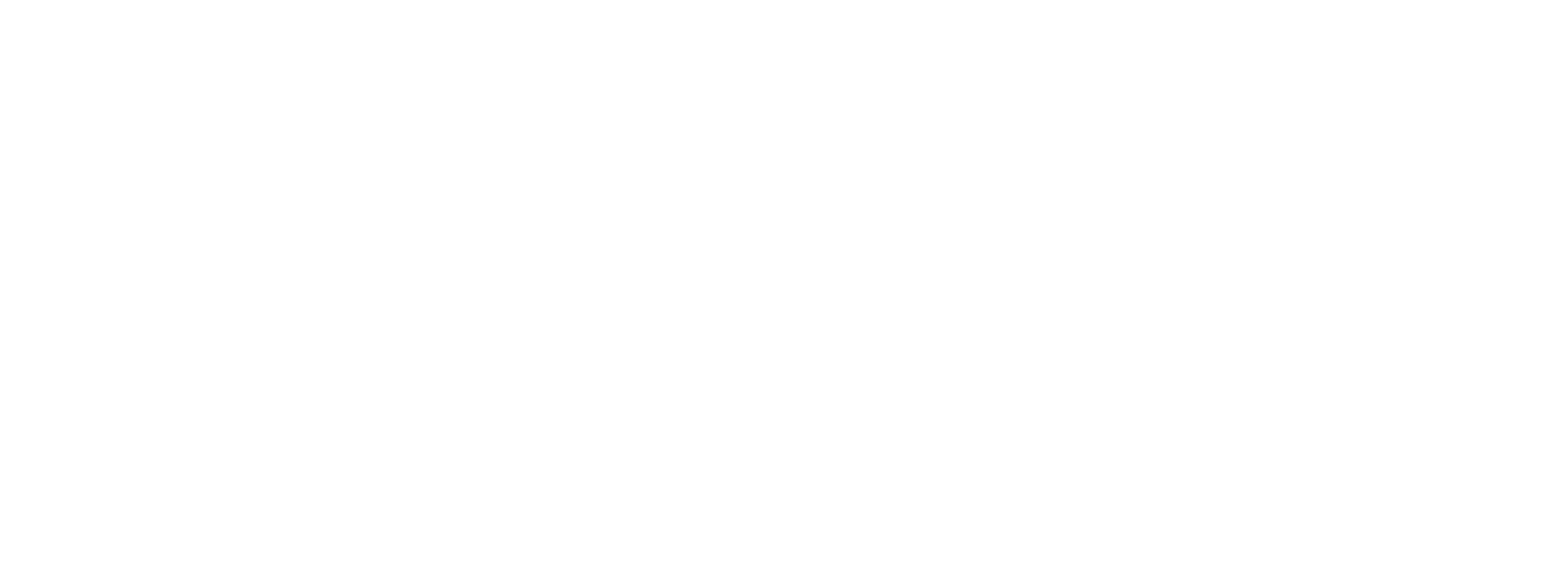 SSPRO Sistemas de Seguridad Profesionales