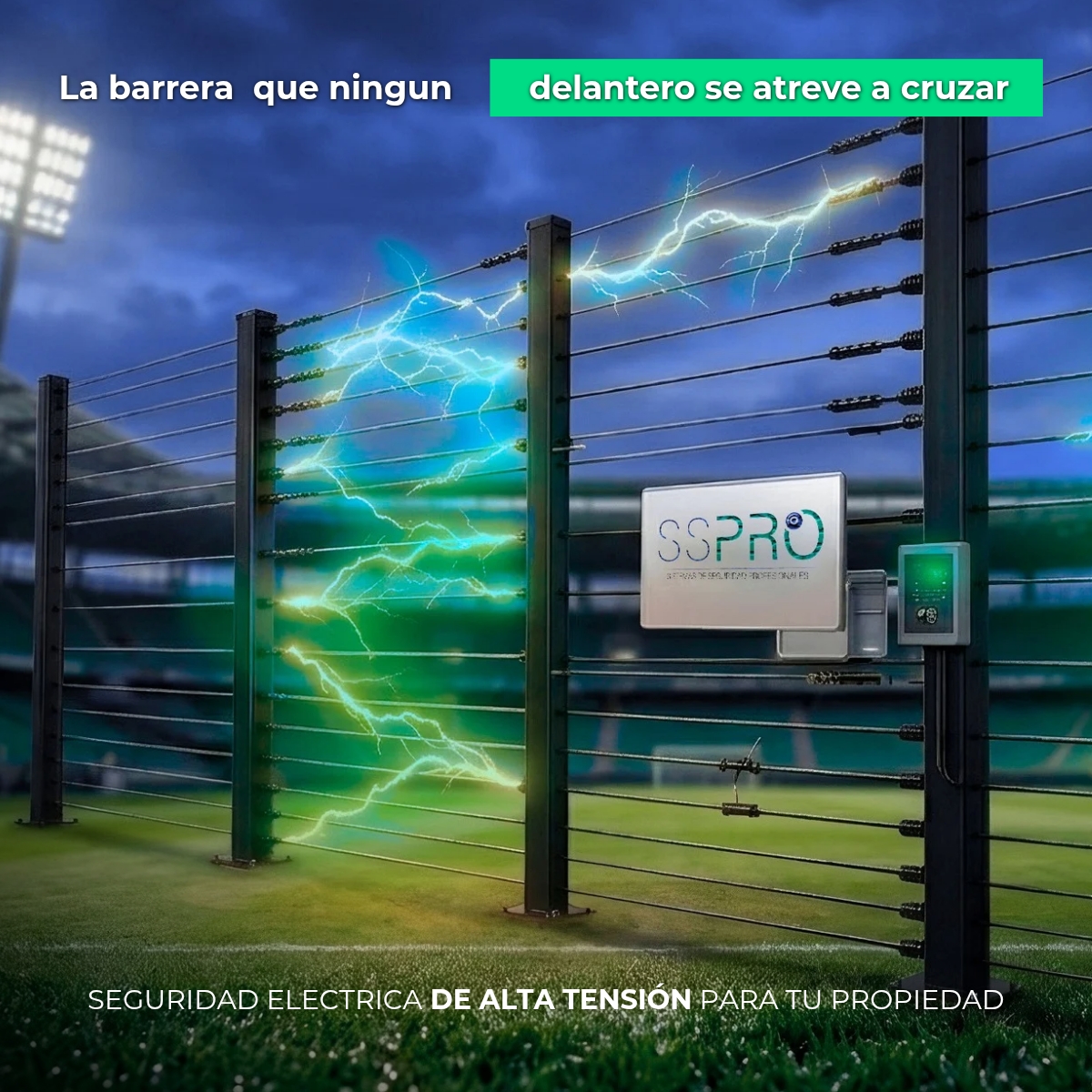 Promoción